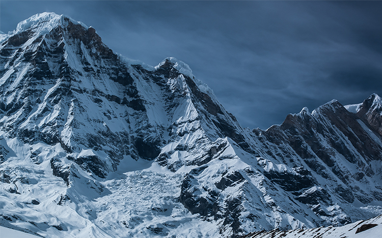 网络短信免费版